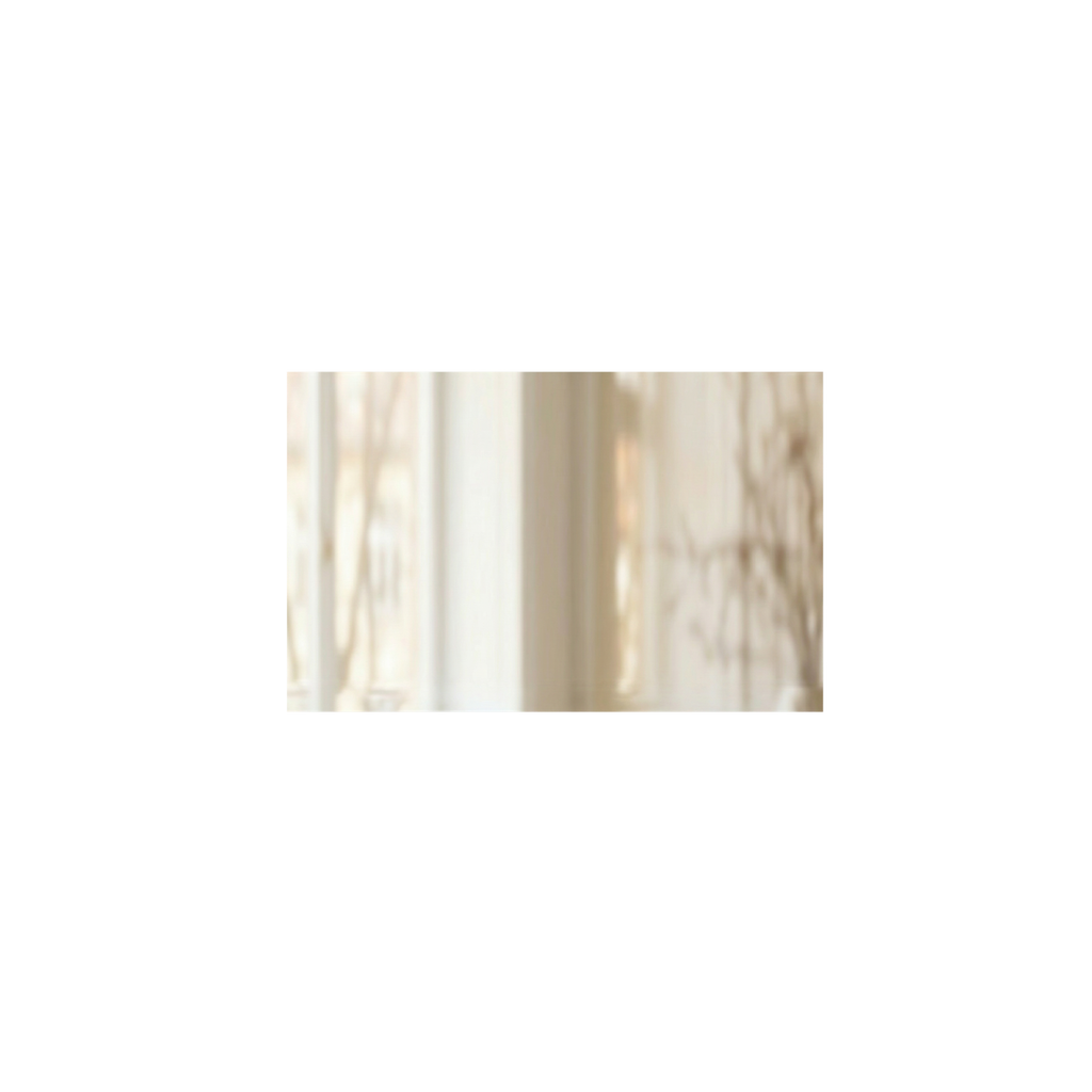 Signature Horizontal Rectangle Mirror