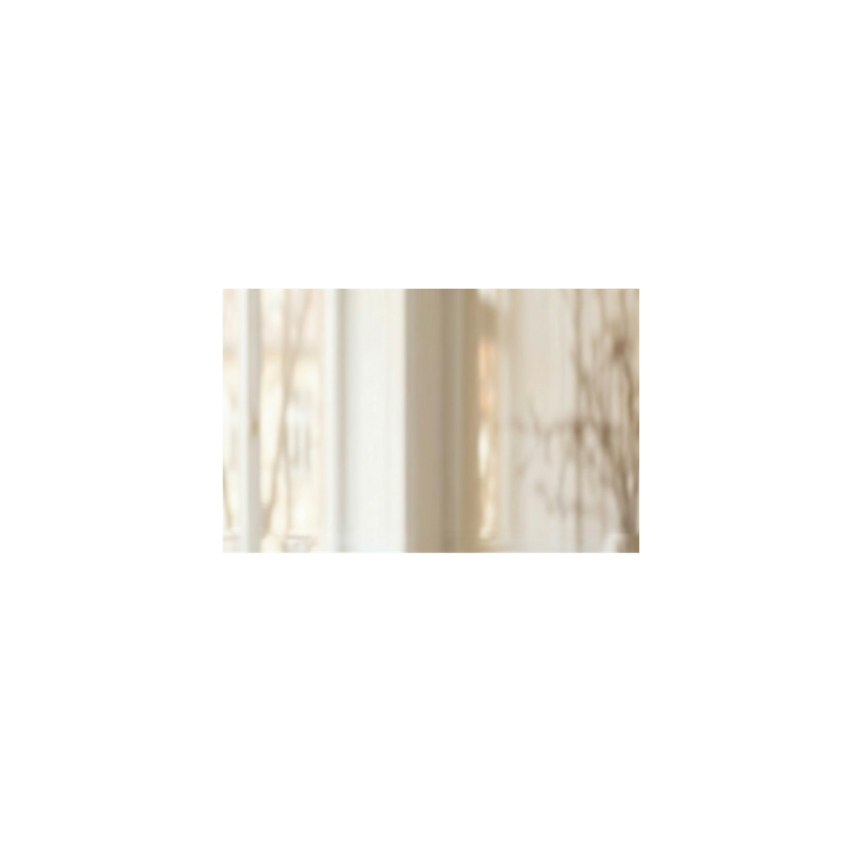 Signature Horizontal Rectangle Mirror