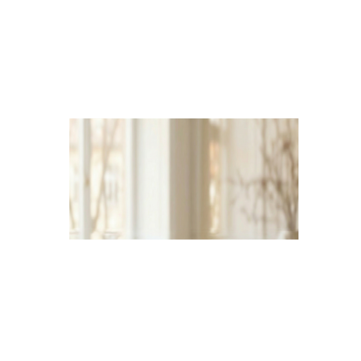 Signature Horizontal Rectangle Mirror